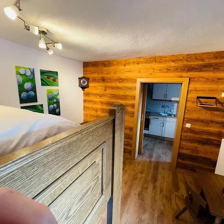 Natursport Heutal Appartements Ski-In & Ski-Out Unken Exterior photo